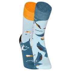 Dedoles Veselé bambusové ponožky Vták rybárik (D-U-SC-RS-C-B-1552) - veľkosť S