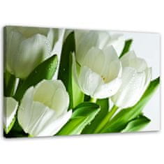 shumee Obraz, Biele tulipány - 100x70