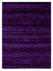 Ayyildiz AKCIA: 120x170 cm Kusový koberec Plus 8000 lila 120x170