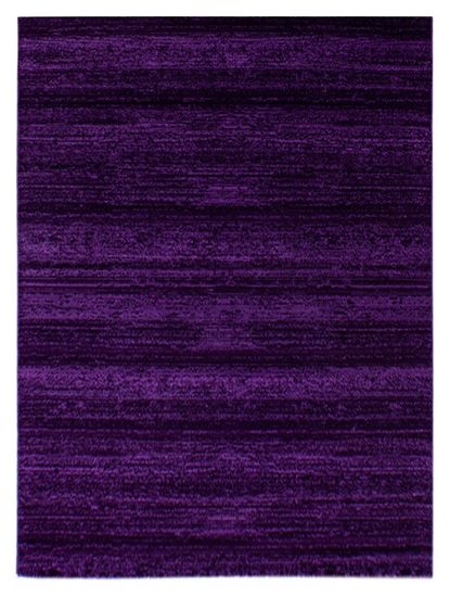 Ayyildiz AKCIA: 120x170 cm Kusový koberec Plus 8000 lila