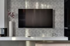 kobercomat.sk Nástenný panel PVC Pre televíziu Zebra 100x50 cm 