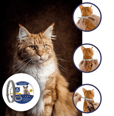 Pingos Antiparazitní obojok pre mačky