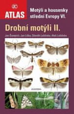 Zdeněk Laštůvka;Jan Liška;Jan Šumpich: Motýli a housenky střední Evropy VI. (Drobní motýli II.)