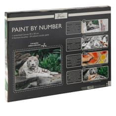 Grafix Maľovanie podľa čísel na plátno - Biely tiger 40x50 cm