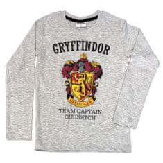 Eplusm Chlapčenské tričko s dlhým rukávom "Harry Potter" sivá 164 / 12–14 rokov Sivá