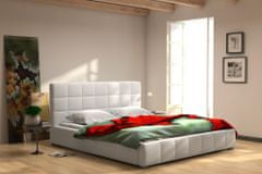eoshop Manželská posteľ Chester 180 + rošt, lamino, bez matraca, s úložným priestorom