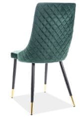 CASARREDO Jedálenská čalúnená stoličky NOPI velvet zelená/čierna/zlatá