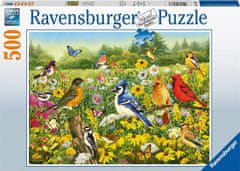 Ravensburger Puzzle Vtáky na lúke 500 dielikov