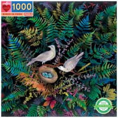 eeBoo Štvorcové puzzle Vtáky v papradí 1000 dielikov