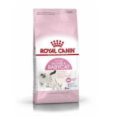 Royal Canin FHN BABYCAT 400g pre gravidné alebo dojčiace mačky a mačiatka