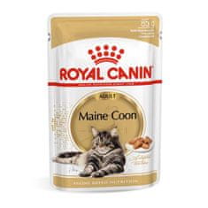 Royal Canin FBN MAINE COON 85g kapsička