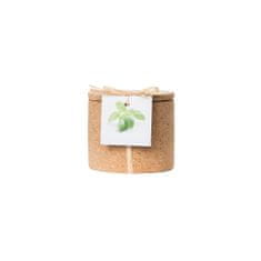 Zapardrobnych.sk Pestovateľská súprava v korkovom kvetináči Grow Cork Pot, Chilli papričky