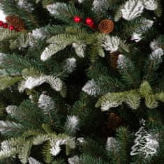 Vianočný stromček Jedľa Horská 250 cm