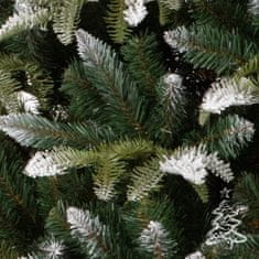 Vianočný stromček Jedľa Horská 250 cm