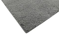Associated Weavers Kusový koberec Softissimo silver 160x230