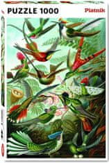 Piatnik Haeckel - Kolibris 1000 dielikov