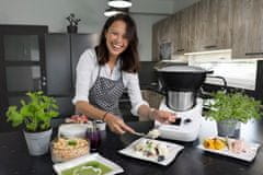 multifunkčný kuchynský robot INSPIRO RM9000