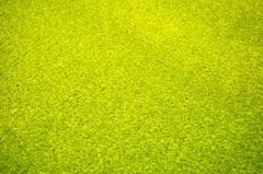 eoshop Kusový zelený koberec Eton (Variant: 57 x 120 cm)