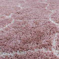 eoshop Kusový koberec Salsa shaggy 3201 rose (Variant: 60 x 110 cm)