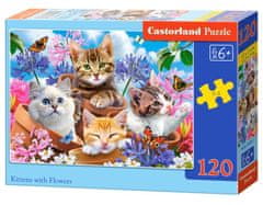 Castorland Puzzle Mačiatka s kvetinami 120 dielikov