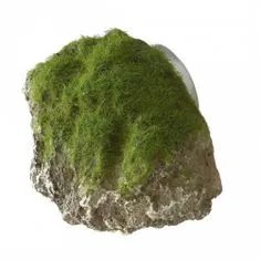 EBI AQUA DELLA machom zarastený kameň -S- ca.12x9,5x10,5cm s prísavkami