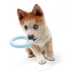 EBI PETIT LOLA Hryzátko pre šteňatá a dospelých psov malých plemien modrý krúžok 10x10cm