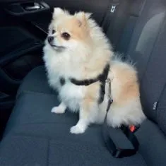 Duvo+ Bezpečnostný postroj pre psov do auta 45 - 70 cm