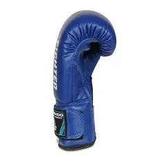 DBX BUSHIDO Boxerské rukavice DBX ARB-407v4 6 oz.