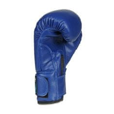 DBX BUSHIDO Boxerské rukavice DBX ARB-407v4 6 oz.