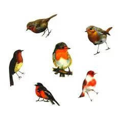 Northix Balík nálepiek - Malé vtáčiky