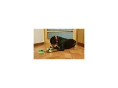 Merco  Doggie hračka pre psov zelená varianta 40021