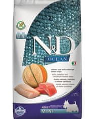 Farmina N&D dog OCEAN (GF) adult mini, salmon, cod & cantaloupe melon 2,5kg