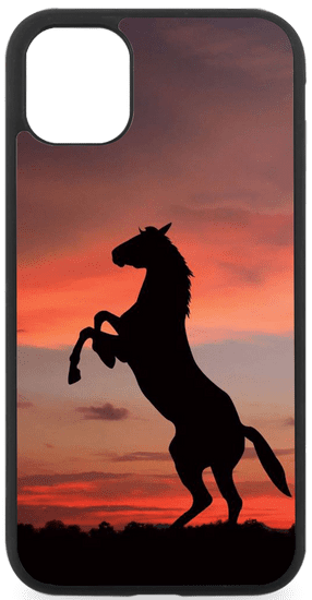 LUVCASE Kryt na Xiaomi horse sunshine Xiaomi: Mi poco M3 Pro