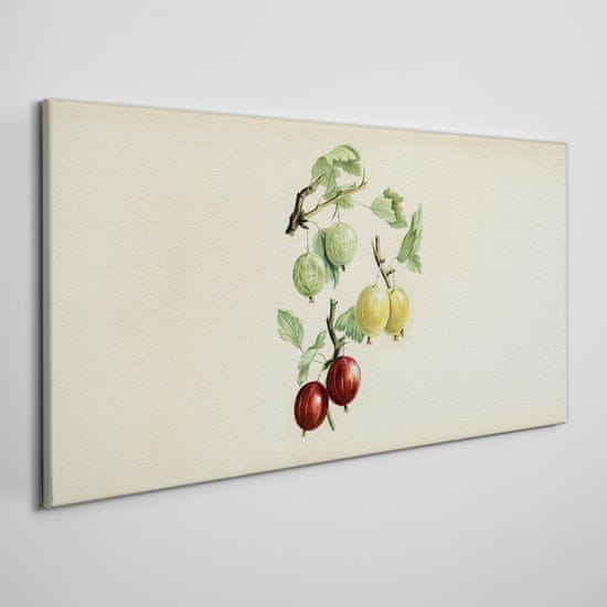 COLORAY.SK Obraz na plátně Ovocie hrozno 120x60 cm