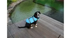 Merco Dog Swimmer plávacia vesta pre psa modrá, M