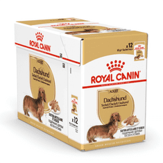 Royal Canin Dachshund, 12x85g