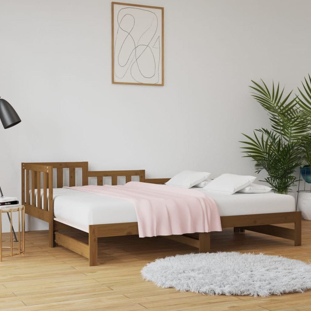Vidaxl Rozkladacia denná posteľ hnedá 2x(80x200) cm borovicový masív