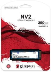 Kingston NV2, M.2 - 250GB (SNV2S/250G)