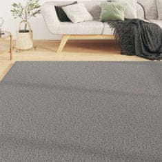 Petromila vidaXL Chlpatý koberec s vysokým vlasom sivý 140x200 cm