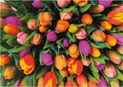 Piatnik Puzzle Tulipány 1000 dielikov