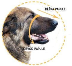 Dogextreme Kožený náhubok pre psa boxer