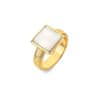 Pozlátený prsteň s diamantom a perleťou Jac Jossa Soul DR247 (Obvod 51 mm)