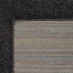 Petromila vidaXL Chlpatý koberec s vysokým vlasom antracitový 120x170 cm