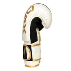 DBX BUSHIDO boxerské rukavice B-2v16 10 oz.