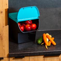 Kôš na triedený odpad, Nádoba na triedenie odpadu VegBox ECO na zeleninu a ovocie, Box skladovací, čierno-modrá