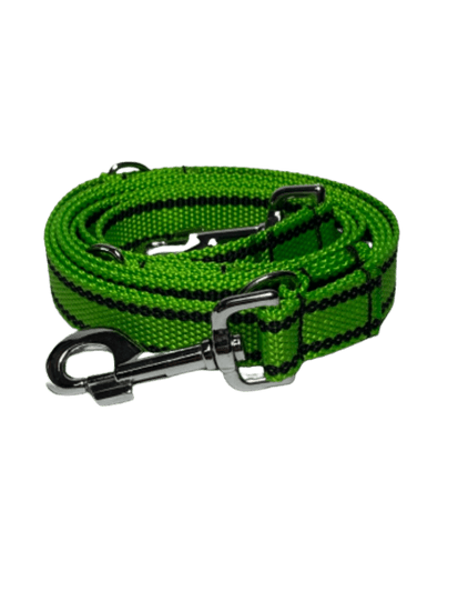 Palkar Vodítko prepínacie z popruhu pre psov 250 cm x 25 mm svetlo-zelená s páskami