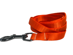 Palkar Vodítko z popruhu pre psov 150 cm x 16 mm oranžová