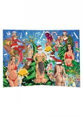 Toyjoy Naughty December Calendar / adventný kalendár