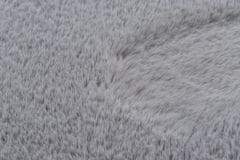 Dywany Lusczów Kusový koberec BUNNY strieborný, velikost 160x220