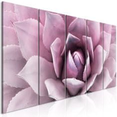Artgeist Obraz - Agáva - ružová 200x80 obraz na plátne s dreveným rámom